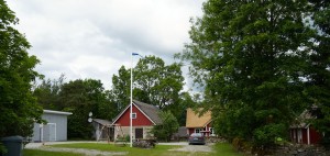 DSC01498
