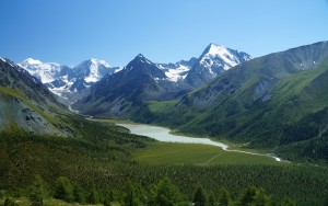 DSC02353