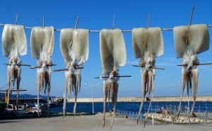 Kalmare