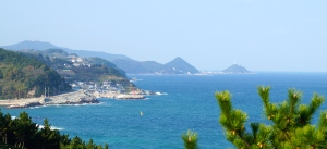 Romantic Road of Korea