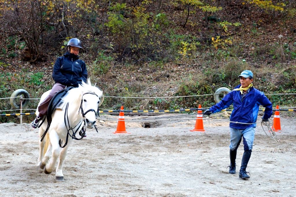 Reiten