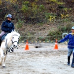 Reiten