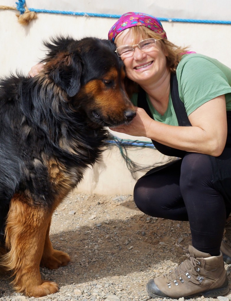 Hof- und Schmusehund