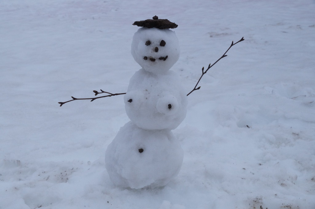 Schneefrau